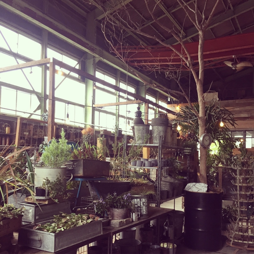 豊橋 植物 花屋 garage