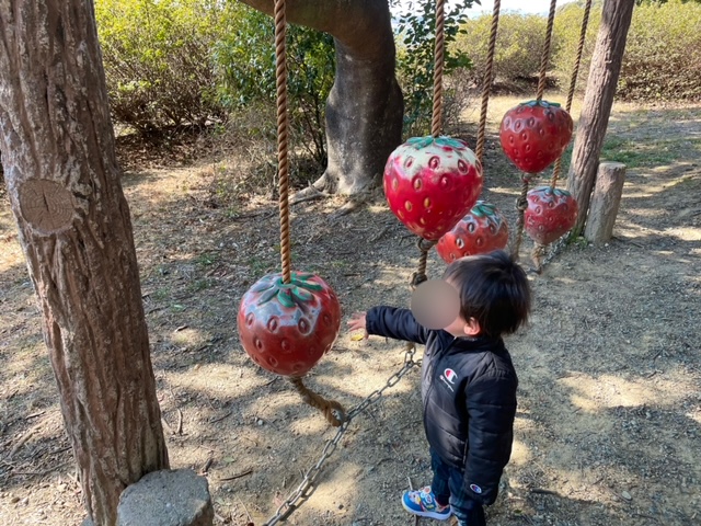 万場緑地　万場調整池　野菜公園　イチゴ渡り