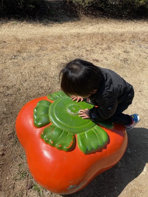 万場緑地　万場調整池　野菜公園　カキベンチ