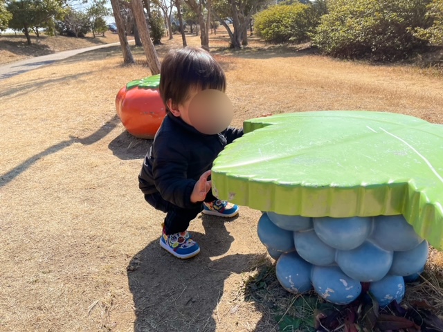 万場緑地　万場調整池　野菜公園　ぶどうベンチ