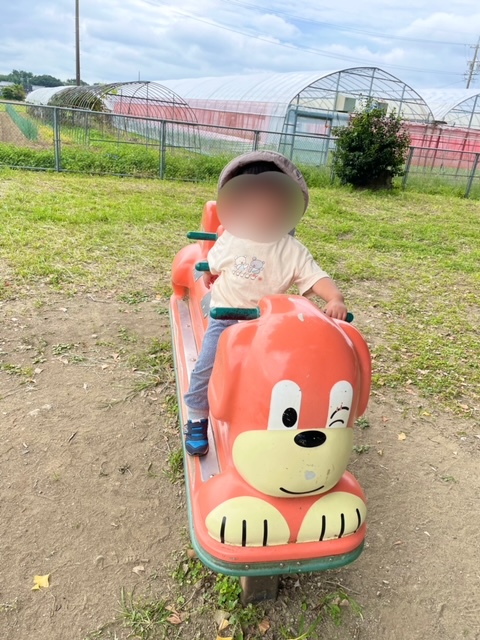 豊川市　大和の大いちょう　公園　遊具