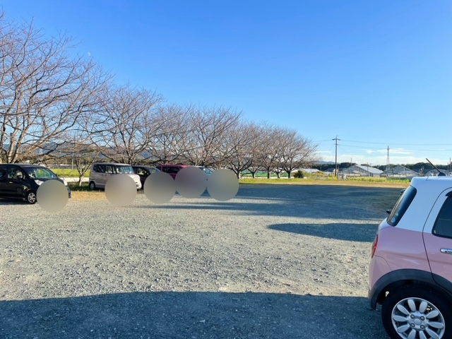 豊川市　大和の大いちょう　駐車場