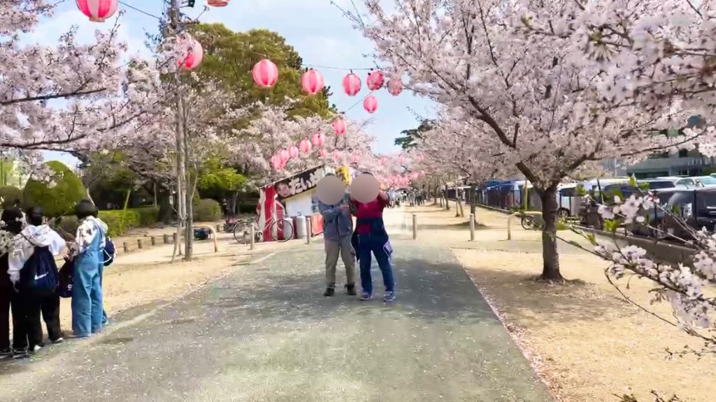 豊川市　とよかわ桜まつり　桜トンネル