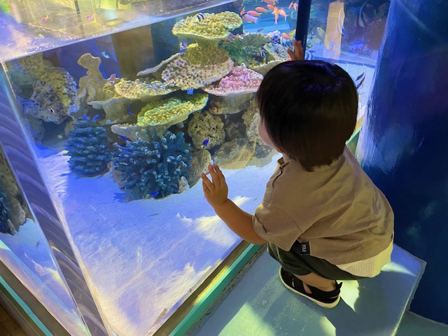 蒲郡市　竹島水族館