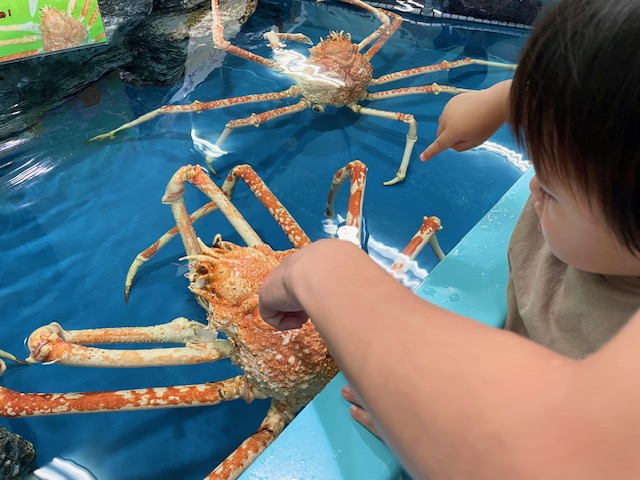 蒲郡市　竹島水族館